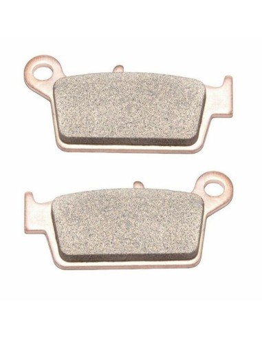 Pastillas de Freno Traseras Moto-Master RoadPro Sinter. Triumph Tiger 800 11-20