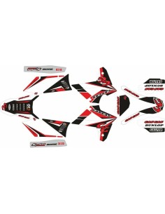 Kit Adhesivos Completo Gas Gas EC 2008 Rojo