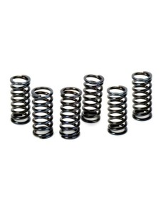 Kit Muelles de Embrague Apico KTM SX 65 09-23 HVA TC 65 17-23 Gas Gas MC 65 21-23 (6 unidades)