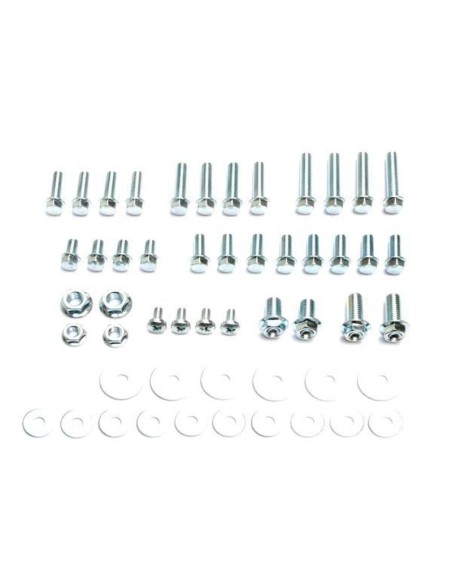 Kit Tornilleria Surtida Motion Pro 52 piezas