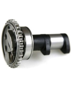 Árbol de Levas Hot Cams Suzuki RMZ 450 05-06 Admisión Stage 1