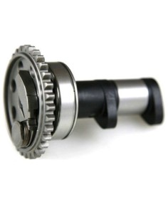 Árbol de Levas Hot Cams Yamaha YZ 450 F 03-09 WR 450 F 03-15 Admisión Stage 1