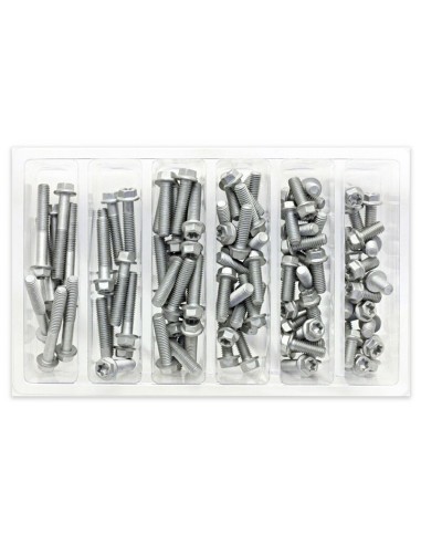 Kit Tornillos Hexagonales Bolt