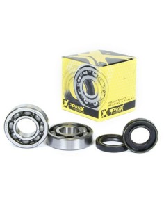 Kit Rodamientos Cigüeñal Yamaha YFS 200 Blaster 05-06