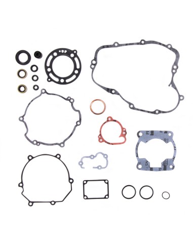 Kit Juntas Motor Prox Kawasaki KX 100 14-20