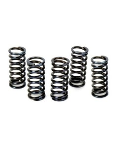 Kit Muelles de Embrague Apico Honda CRF 250 R 04-09 CRF 250 X 04-19 (5 unidades)