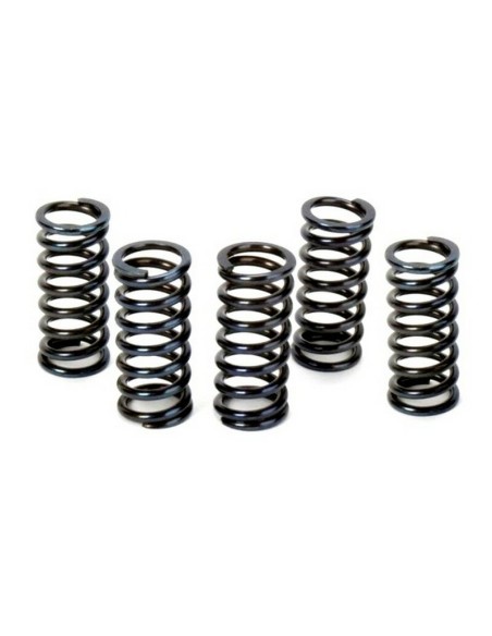 Kit Muelles de Embrague Apico Honda CRF 250 R 04-09 CRF 250 X 04-19 (5 unidades)