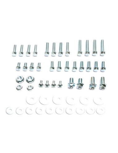 Kit Tornilleria Surtida Motion Pro 52 piezas