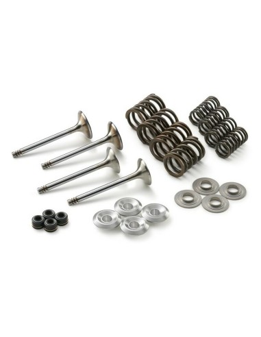 Kit Válvulas Gas Gas EC 350 F 21-23 Husqvarna FE 350 20-23 KTM EXC-F 350 20-21