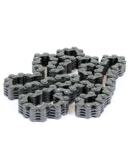 Cadena de Distribución Prox TM 250 F 01-06