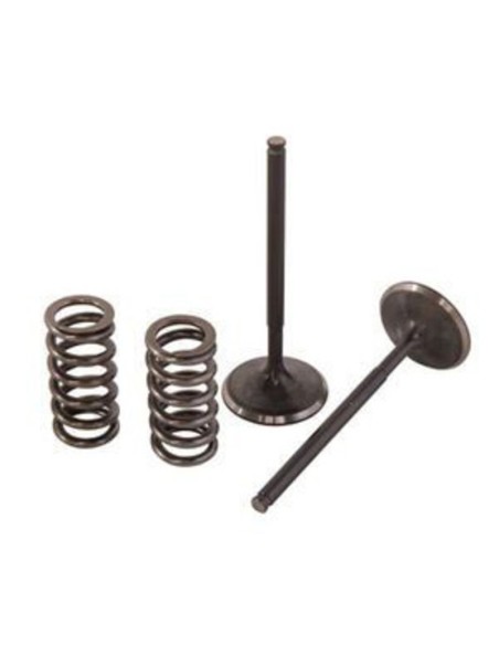 Valvulas de admisión + muelles pro-x Suzuki LTR 450 06-11