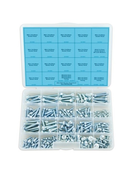 Kit Tornillería Surtida Bolt Allen