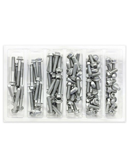 Kit Tornillos Hexagonales Bolt