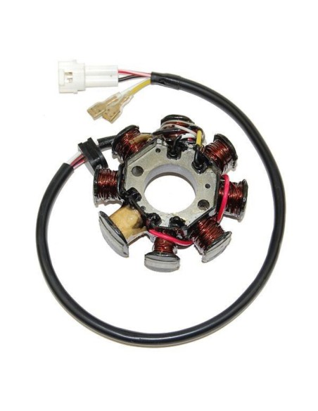Stator Husaberg FS/FE 04