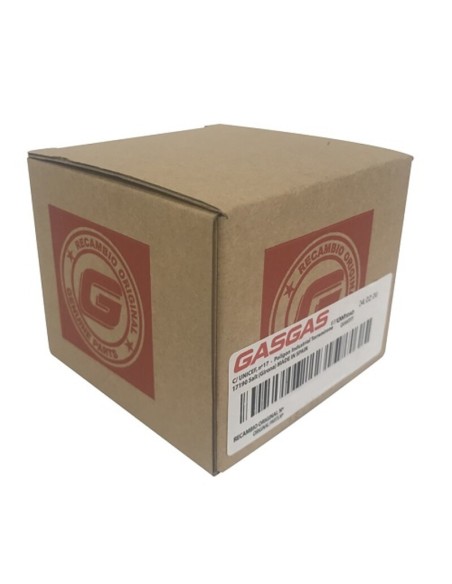 Puente de Aluminio Gas Gas EC 250/300 13