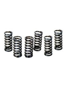 Kit Muelles de Embrague Apico Honda CRF 450 R 04-08 HVA CR/WR 250/300 00-13 (6 unid.)