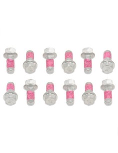 Kit Tornillos Disco de Freno Bolt Beta 13-..