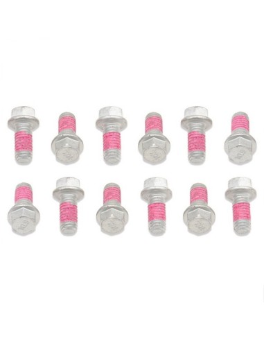 Kit Tornillos Disco de Freno Bolt Beta 13-..