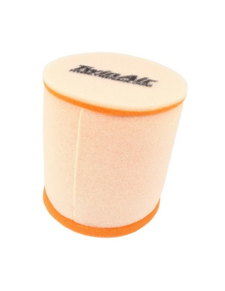 Filtro De Aire Twin Air Aprilia RC 50 79-80