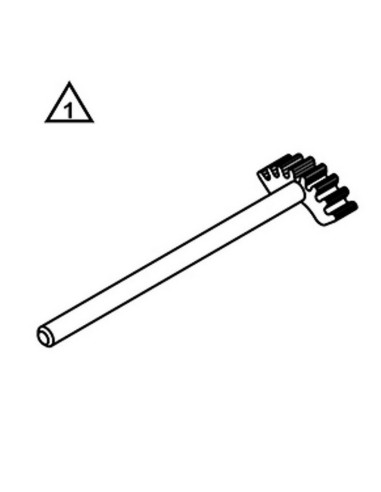 Segmento Dentado KTM SX 50 14-22