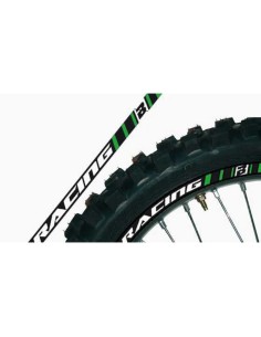 Kit Adhesivos Llanta Blackbird Crystall Verde