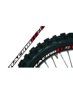 Kit Adhesivos Llanta Blackbird Crystall Rojo