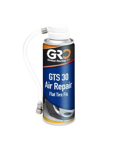 Espuma Repara Pinchazos Gro 200 ml