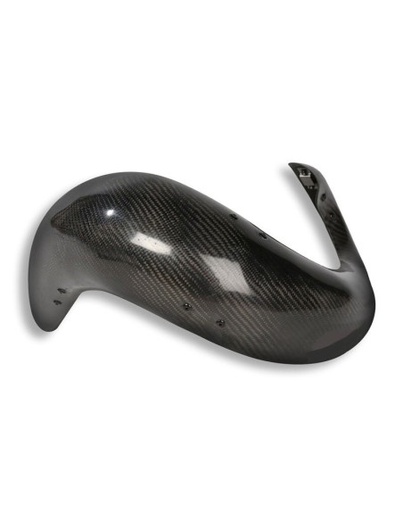 Protector Escape Carbono XL Beta 250/300 RR 2T 20-..