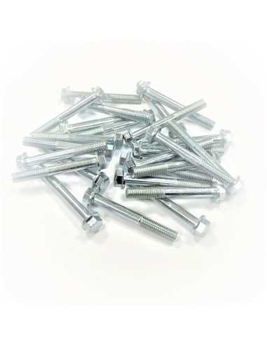 Kit Tornillería Surtida Métrica 6X30 25 Piezas