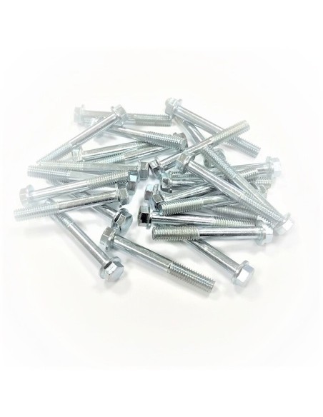 Kit Tornillería Surtida Métrica 6X45 25 Piezas