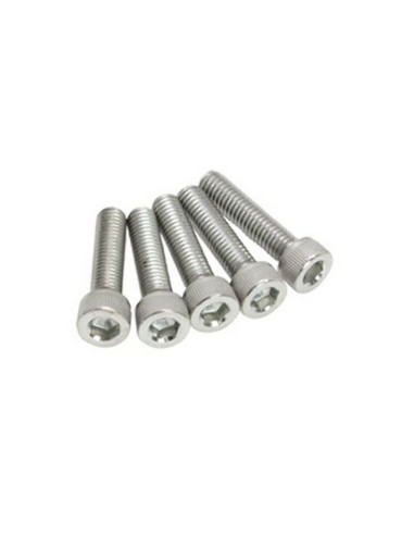 Tornillo Inoxidable Allen DRC M6 Pack 5