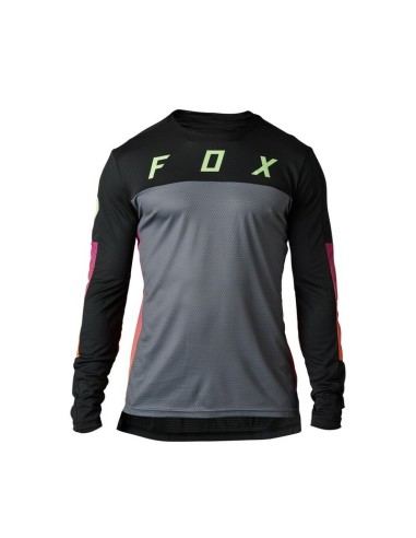 Jersey Fox Defend Cekt Negro
