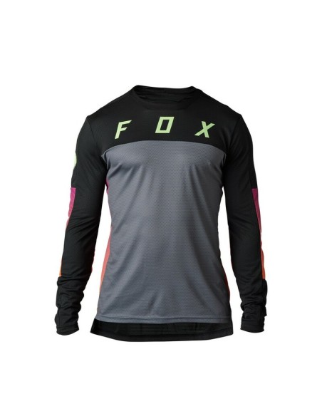 Jersey Fox Defend Cekt Negro