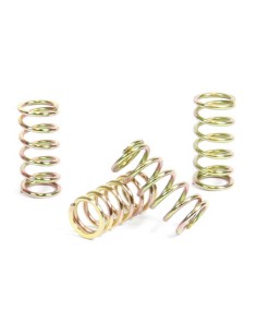 Kit Muelles de Embrague Prox Kawasaki KX 125 94-02
