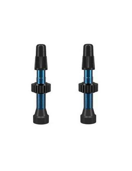 Juego Válvulas WTB TCS Aluminio 34 mm Azul