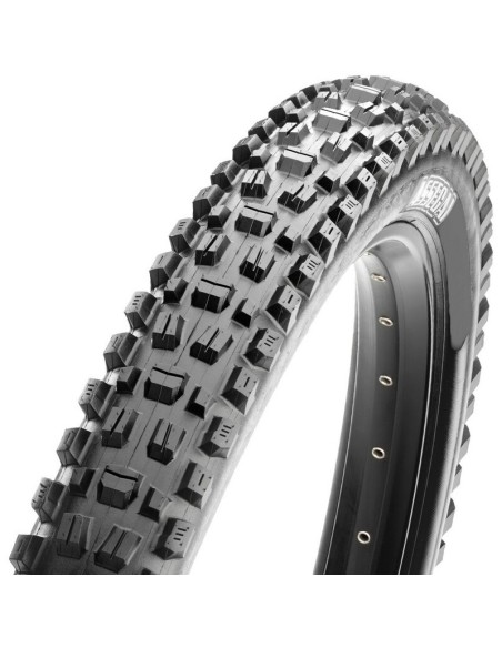 Neumático Maxxis Assegai EXO/TR