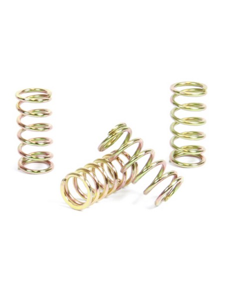 Kit Muelles de Embrague Prox Kawasaki KX 125 94-02