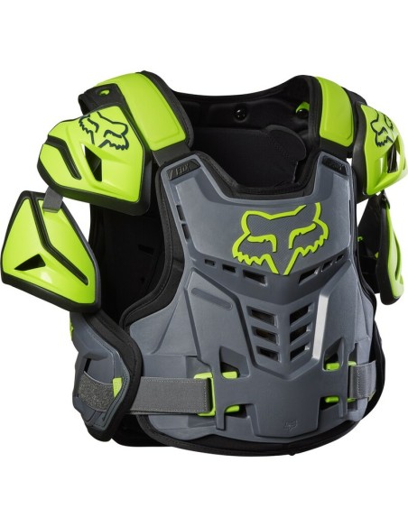 Peto Fox Raptor Gris
