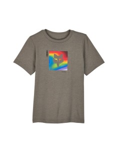 Camiseta Infantil Fox Scans Gris