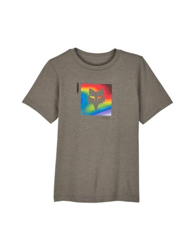Camiseta Infantil Fox Scans Gris
