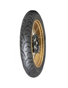 Neumático Dunlop TRX Meridian TL