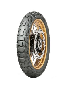 Neumático Dunlop TRX Raid M+S TL