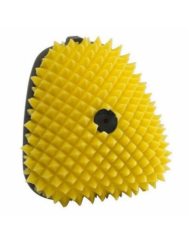Filtro De Aire FunnelWeb Proline Beta RR 2T/4T 20-..