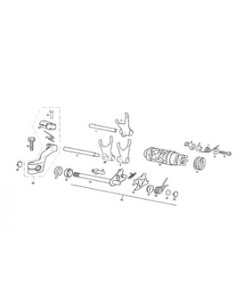 Árbol Selector cambio