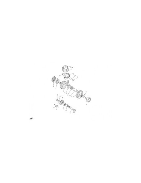 Cigüenal - Piston