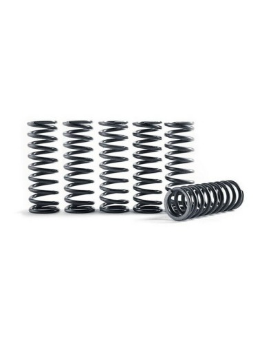 Kit Muelles de Embrague Hinson Honda CR 250 R 92-07 KTM EXC 250 04-12