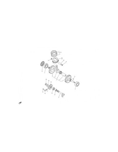 Cigüenal - Piston