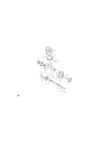 Cigüenal - Piston