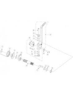 Conjunto pedal arranque