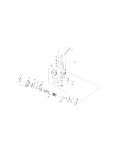 Conjunto pedal arranque